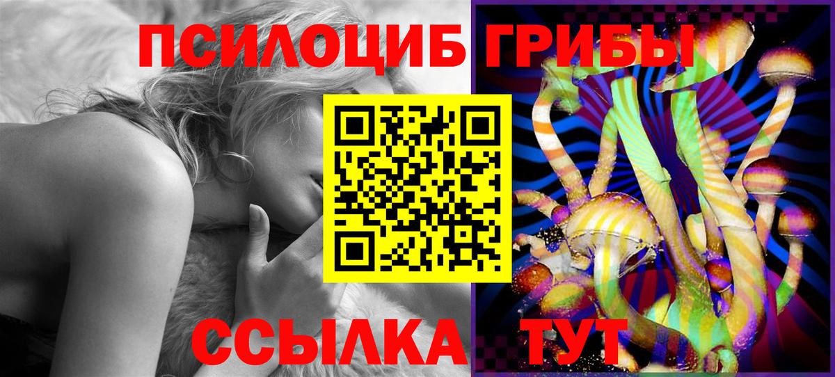 Котлас  магазин продажи   Вход с VPN  Галлюциногенные грибы GOLDEN TEACHER 