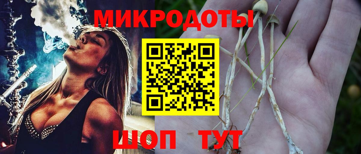 Псилоцибиновые грибы MAGIC MUSHROOMS Котлас